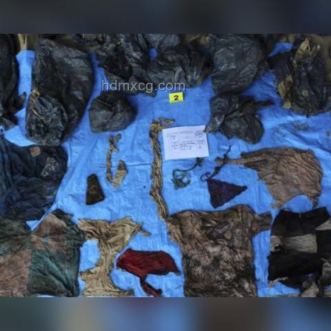 美國13具尸體案：連環(huán)殺手作案猜想的對比分析