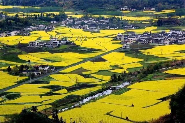 廣西瓜田哄搶事件后：農(nóng)村法治與道德建設(shè)的未來(lái)趨勢(shì)