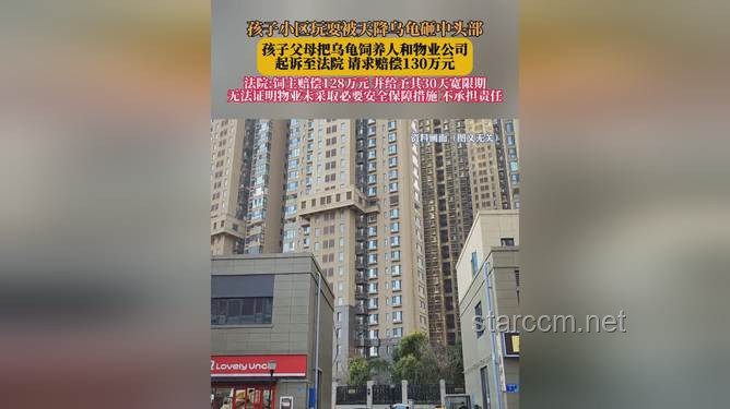 小孩被天降烏龜砸死，飼主賠償128萬的警示
