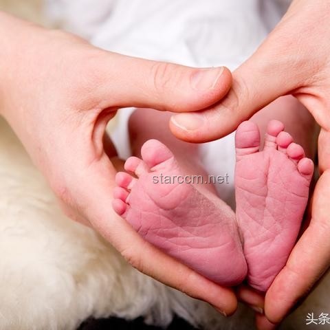 高考情感與支持方式對比：燒烤花VS傳統(tǒng)關懷