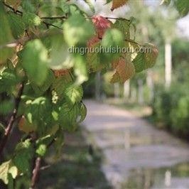 北大回應(yīng)商家售賣未名湖湖水：維護(hù)校園資源與文化底蘊(yùn)