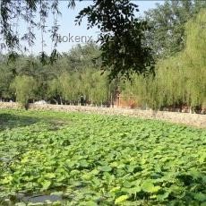 北大湖水變商品：跨界營銷與創(chuàng)新邊界探索