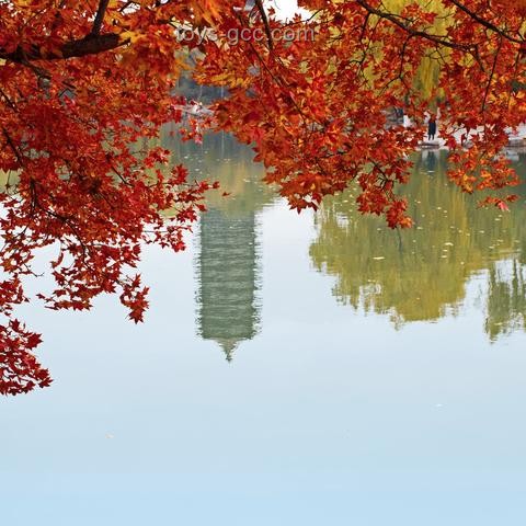 北大未名湖湖水售賣風(fēng)波：我的親歷與反思?