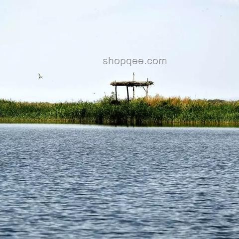 北大回應商家售賣未名湖湖水問題解決方案