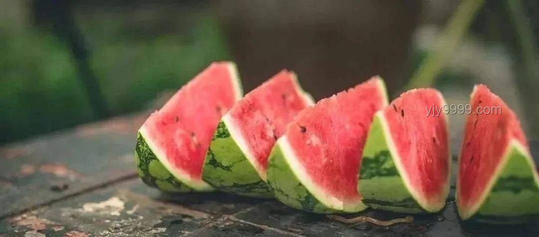 漢代遺址瓜皮與現(xiàn)代西瓜的對比分析