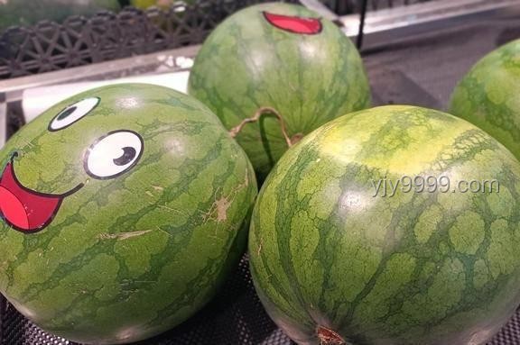 漢代遺址瓜皮與現(xiàn)代西瓜的對比分析
