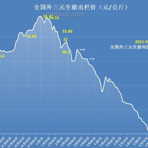 A股震蕩親歷記：4000只個(gè)股飄綠的教訓(xùn)與啟示 ????