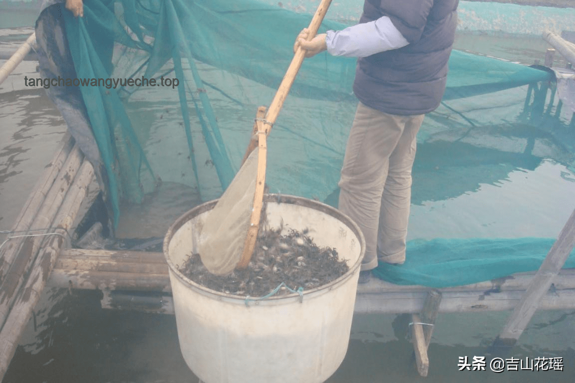 陳夢辟謠“400億”傳聞：有效應(yīng)對網(wǎng)絡(luò)謠言的策略