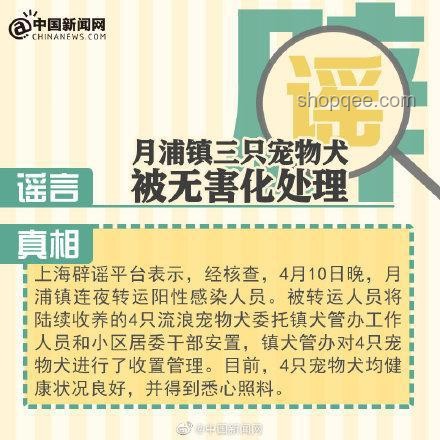 陳夢(mèng)辟謠400億傳聞：實(shí)操指南應(yīng)對(duì)網(wǎng)絡(luò)謠言
