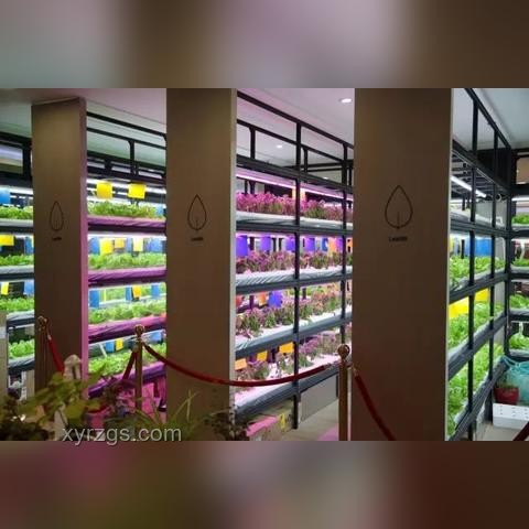 任式創(chuàng)新：干就完了，解鎖跨界新思維