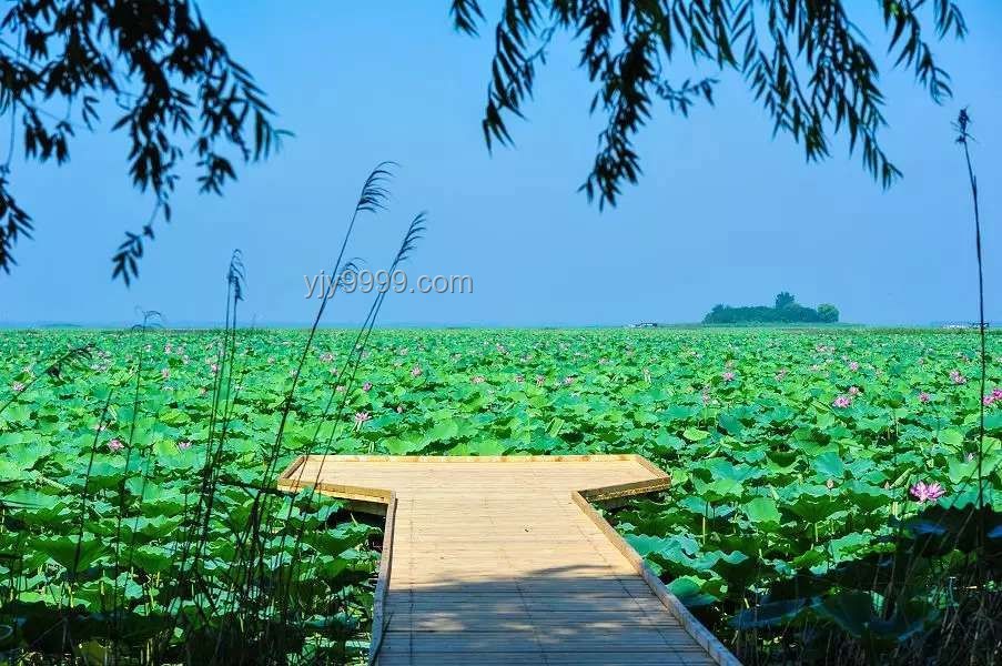 山東多個(gè)景區(qū)中高考生免費(fèi)游玩方案指南
