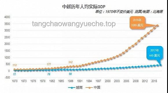 龍葵文化現(xiàn)象畢業(yè)轉場趨勢預測
