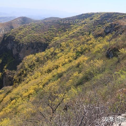 高考地理題新解：抽象背后的創(chuàng)新思維地圖