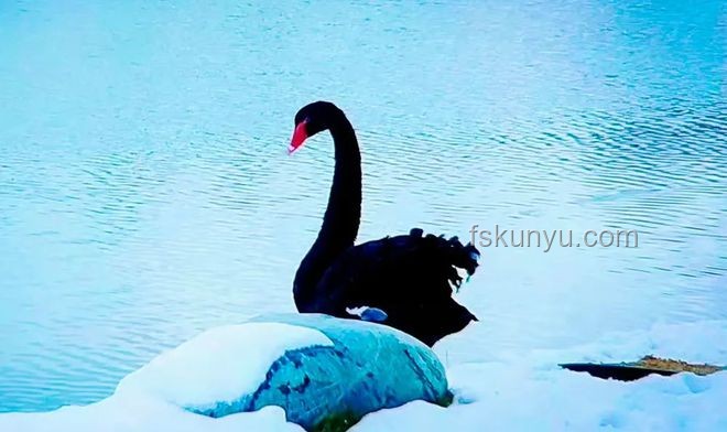 臺網(wǎng)紅館長上海美食體驗：被投喂“三件套”
