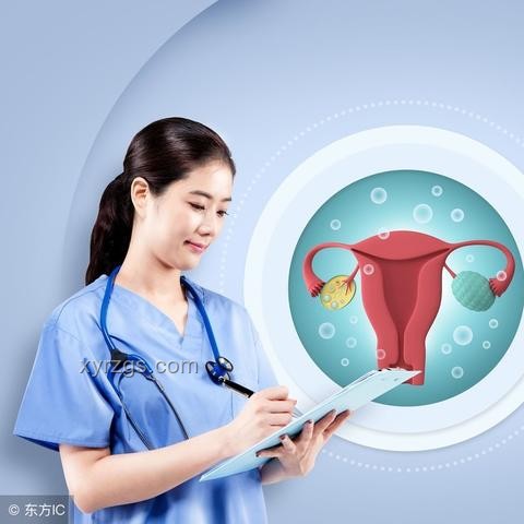 排卵期誤解揭秘：行業(yè)深度洞察與未來(lái)展望