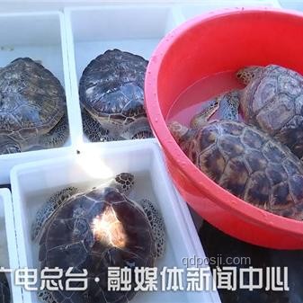 ??《歸環(huán)》首曝震撼，時間循環(huán)的魅力無限！