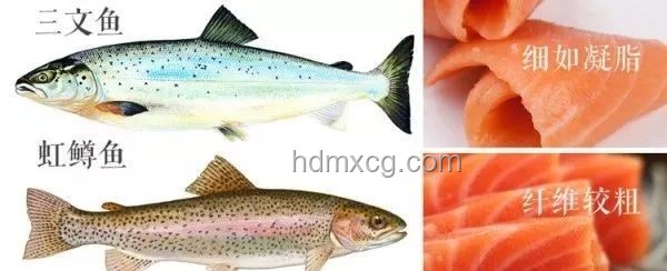 三文魚寄生蟲風(fēng)險(xiǎn)與食用趨勢(shì)預(yù)測(cè)：安全食用，未來可期