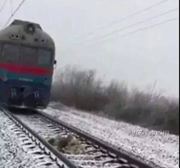 火車行駛對鐵軌磨損的有限性分析