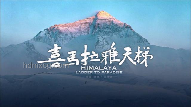 《東極島》映前預(yù)熱：用創(chuàng)新思維解鎖電影期待新維度，跨界融合預(yù)告魅力