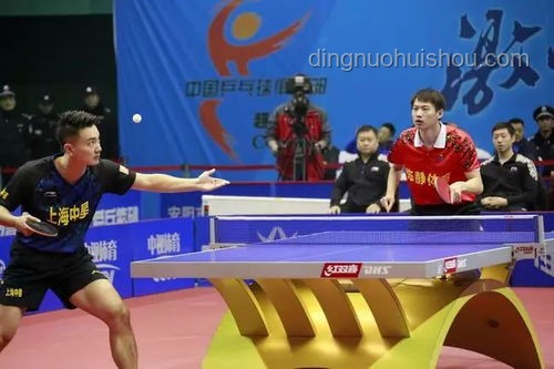 2025乒超聯(lián)賽全解析，精彩賽事不容錯(cuò)過(guò)