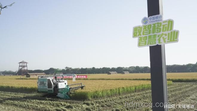 中國田間好豐景：智慧農(nóng)業(yè)助力鄉(xiāng)村振興案例研究