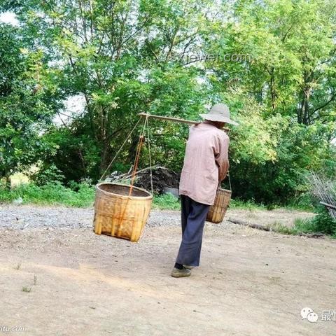 高考后扁擔(dān)女孩師范夢：教育領(lǐng)域的溫暖新趨勢