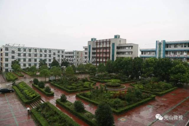 清華大學校河河水網售現(xiàn)象深度剖析