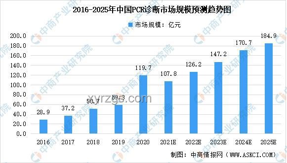 龐眾望清華之路與科研前程的深度剖析