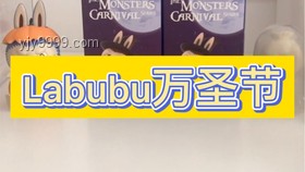 兩個拍出天價的Labubu對比分析：獨(dú)特性與市場價值