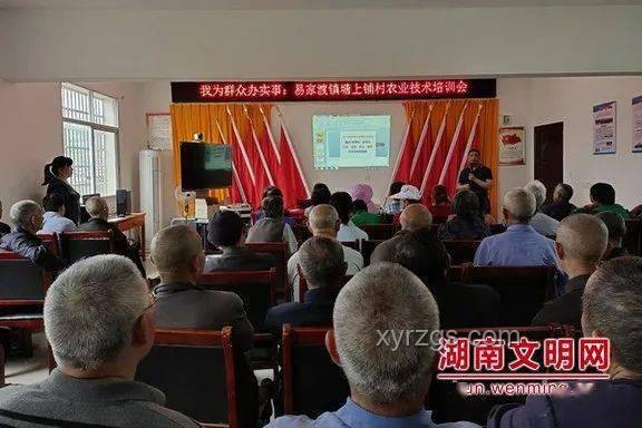 違停車堵住消防車應(yīng)對指南：群眾如何安全高效地采取行動