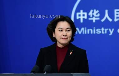 外交部回應(yīng)長(zhǎng)和出售海外港口資產(chǎn)案例研究