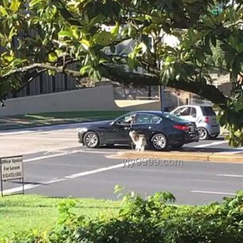 男子腳伸車窗外邊玩手機邊開車：危險行為糾正指南