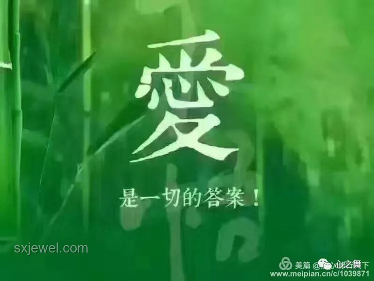 特朗普式寬容：如何理解并應(yīng)用“可以原諒馬斯克”的智慧