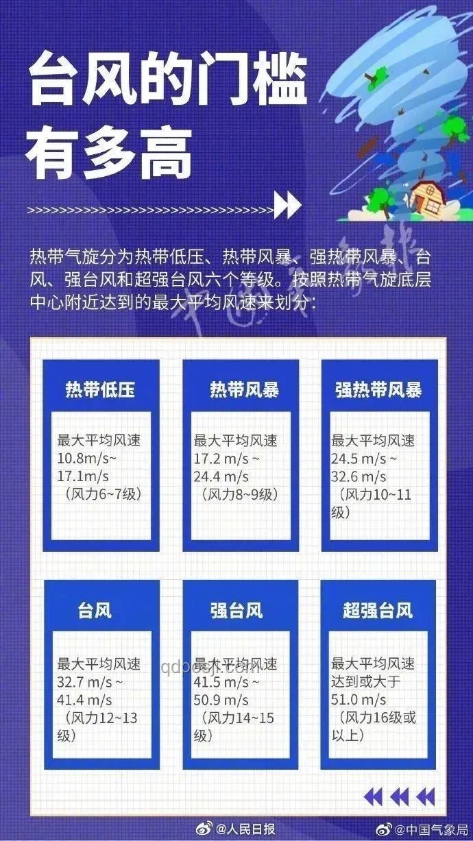 今年第1號臺風生成案例研究：氣象預警與應急響應機制