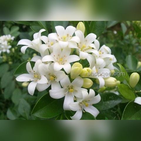 《通過宵的都懂》：夜間經(jīng)濟與健康生活方式融合新趨勢
