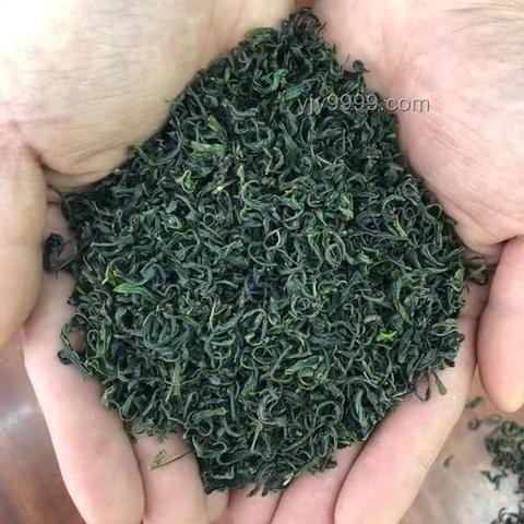 十八歲回家指南：重拾青春記憶與自我成長