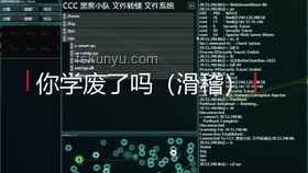 "bro的結(jié)局"：不同人生路徑的深度對比分析