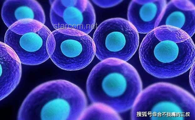 人類與螨蟲共生的挑戰(zhàn)及解決方案
