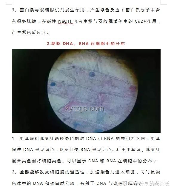 人類與螨蟲：共存的生物對(duì)比分析