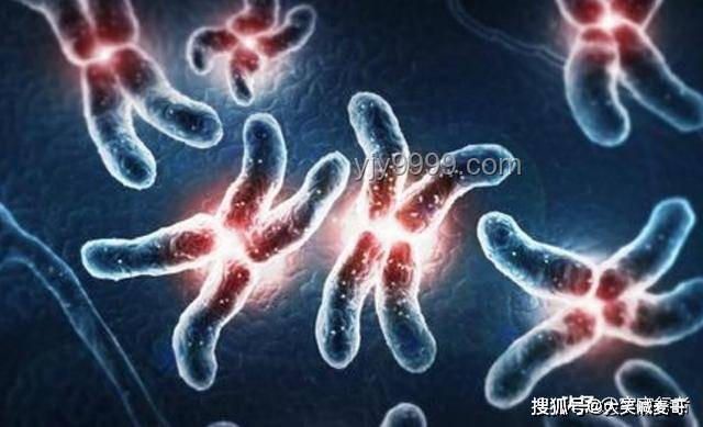 人類與螨蟲共生：一生的微觀伴侶【基德】