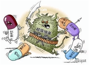 【基德洞察】人類與螨蟲共生：除螨行業(yè)的深度剖析與發(fā)展趨勢