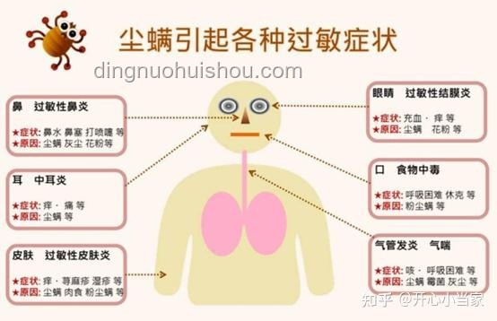 螨蟲同殺行業(yè)深度洞察：人類與螨蟲共存的智慧之戰(zhàn)
