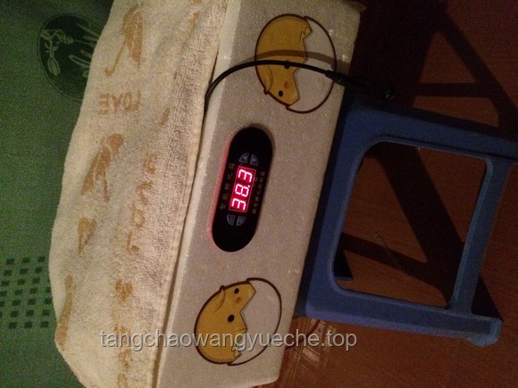 天太熱，自制水床降溫小妙招