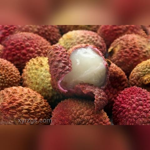 荔枝季節(jié)隱患：貪食致昏迷趨勢預(yù)警