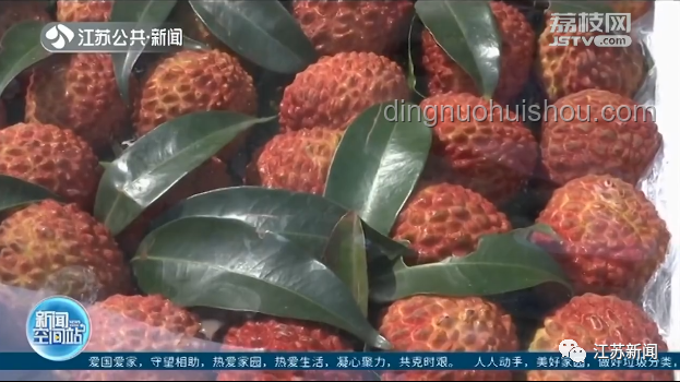 15歲少年貪食荔枝昏迷，安全享用荔枝指南