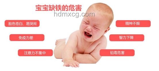 Nature研究：孕期缺鐵致胚胎性別逆轉的意義及解決方案