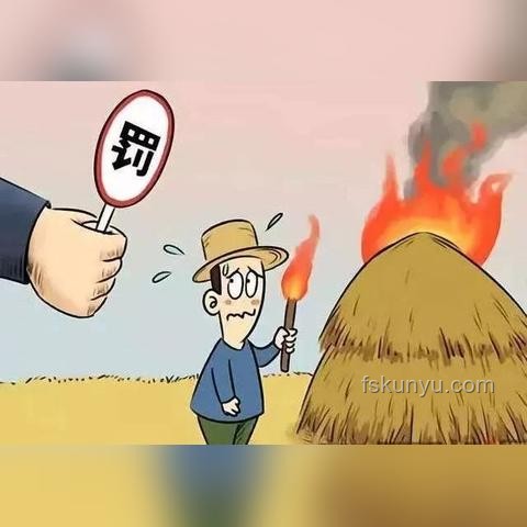 中國垃圾焚燒現(xiàn)狀探析：真的“垃圾不夠燒”了嗎？