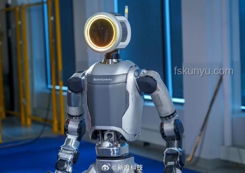 人形機器人現(xiàn)階段的最大痛點分析