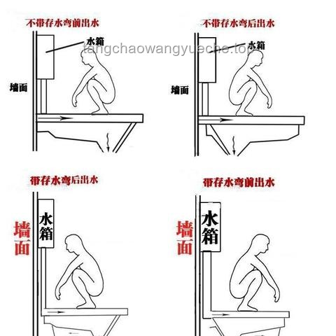 坐馬桶上廁所的正確姿勢曝光，提升健康與舒適