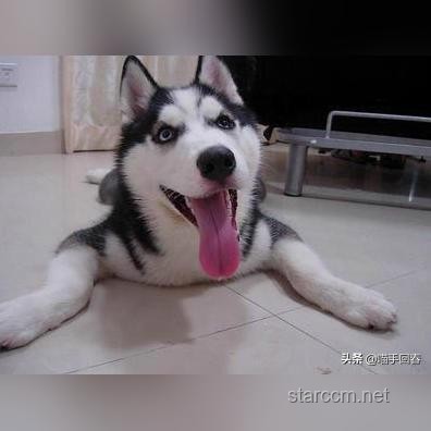 坐馬桶上廁所的正確姿勢(shì)大揭秘